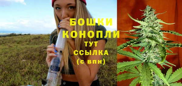 бошки Аркадак