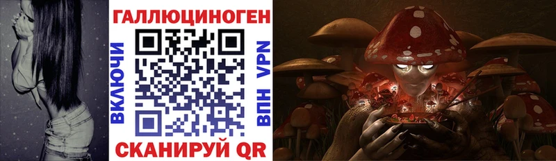 наркотики  Арсеньев  Галлюциногенные грибы MAGIC MUSHROOMS 